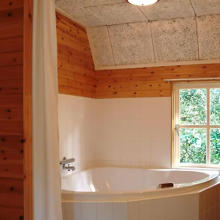Cozy With Whirlpool, In The Forest